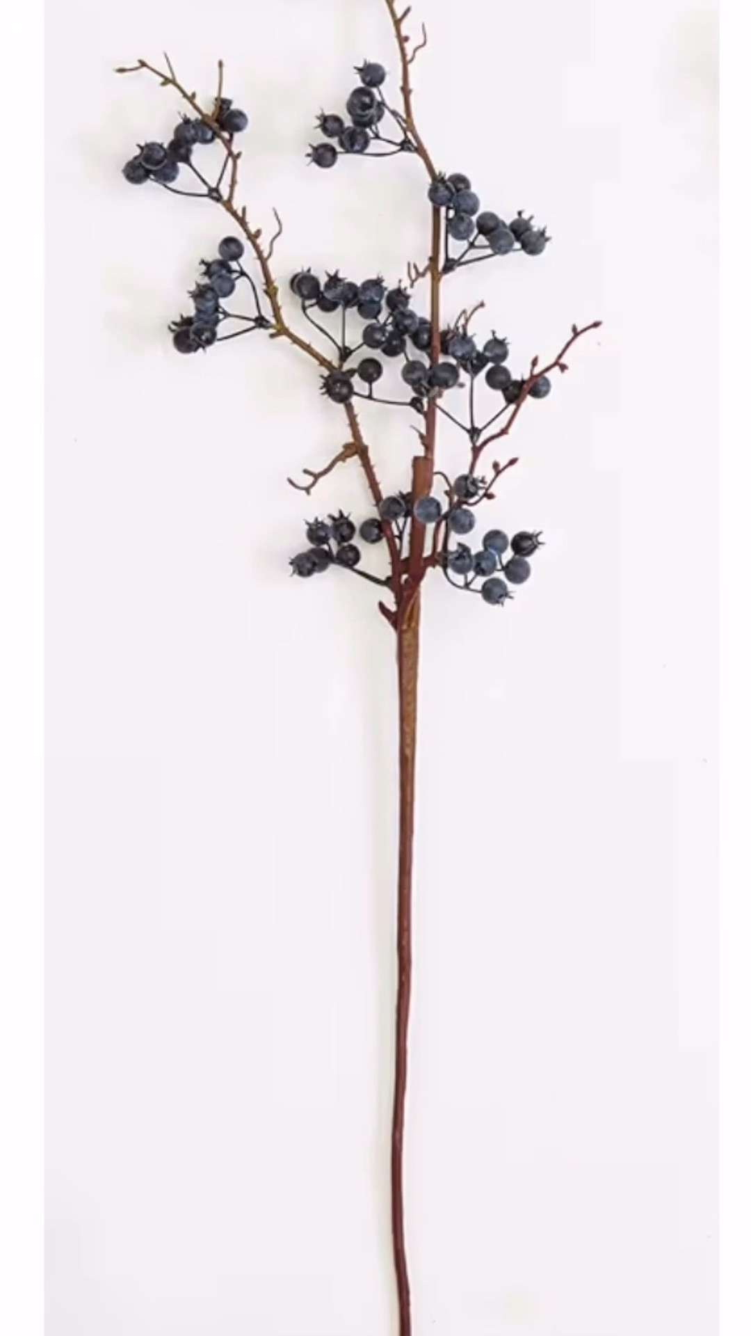 Faux Blueberry Stems


#LTKSeasonal #LTKHome #LTKHoliday