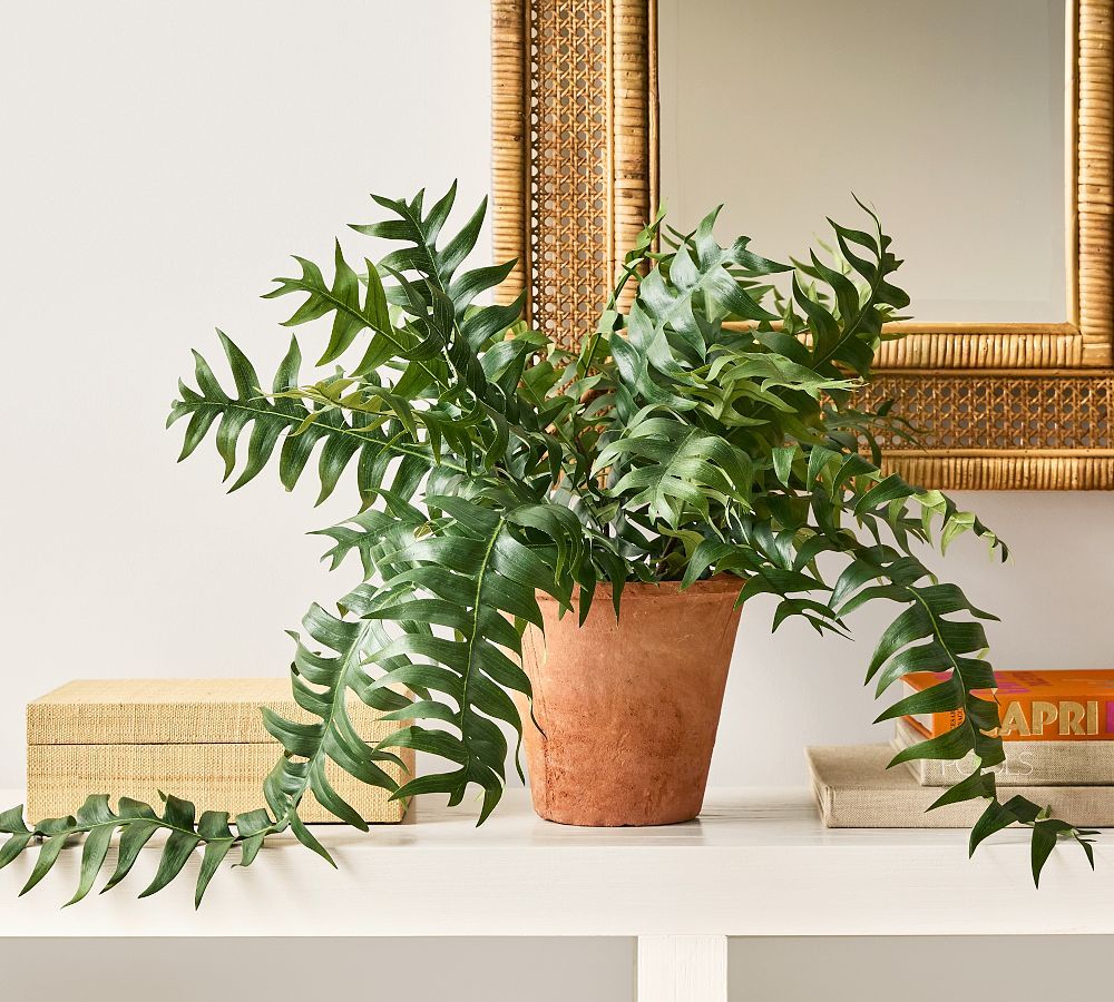 Faux Potted Trailing Sword Fern | Pottery Barn (US)