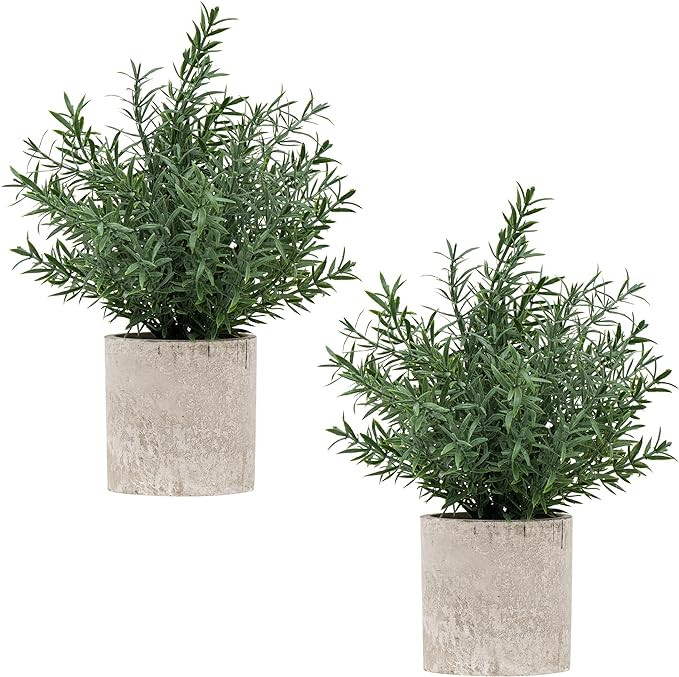 2 Pack Small Fake Plants Rosemary Potted Artificial Plants for Shelf Desk Home Kitchen Bathroom F... | Amazon (US)