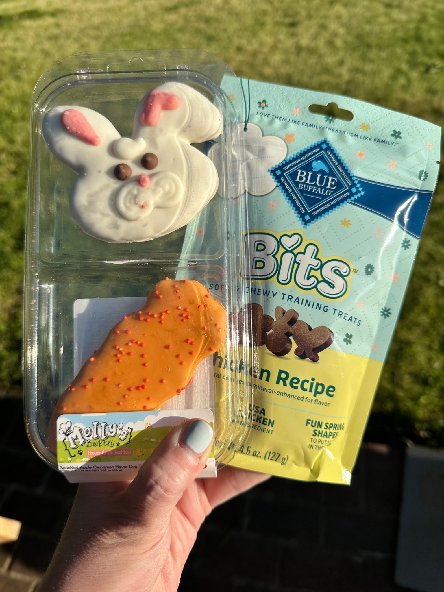 Easter bunny visits everyone at our house! 

#LTKGiftGuide #LTKPets #LTKSeasonal