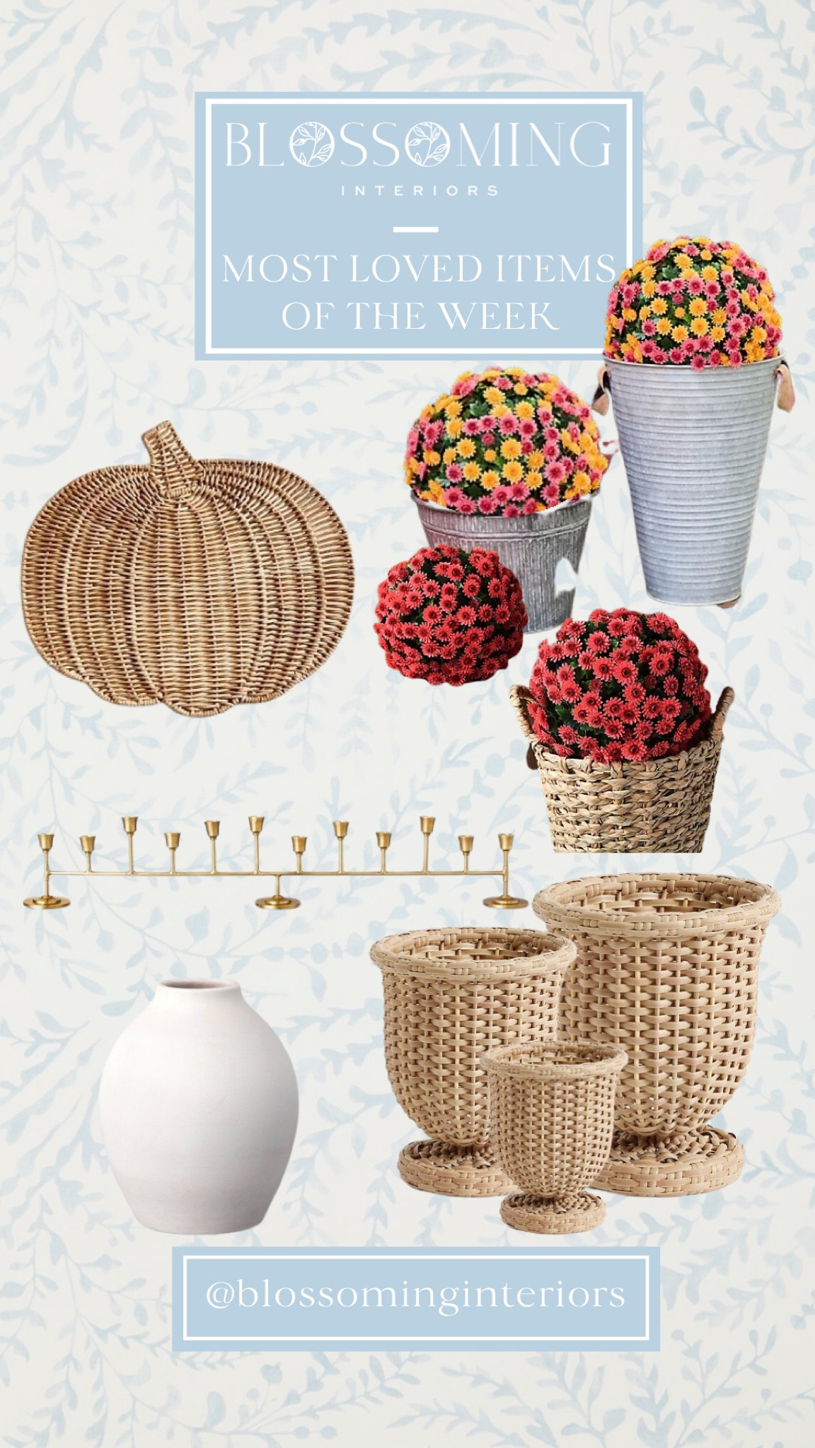 Most loved items of the week on LTK. The mums are pretty much all sold out. 

#LTKhome #LTKFind #LTKSeasonal