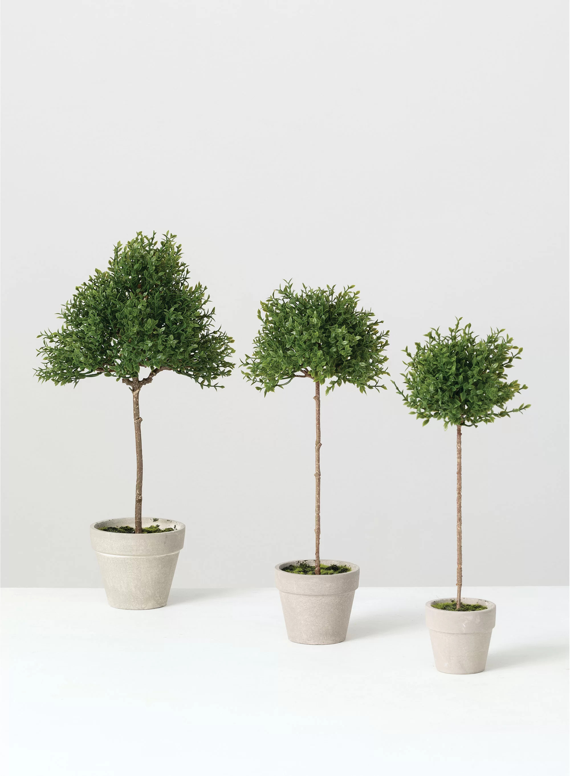 14.5;14.5'' Faux Tea Leaf Topiary in Ceramic Pot | Wayfair North America