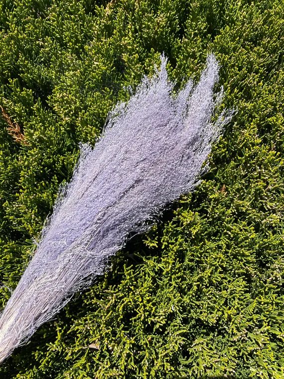 10g Agrostis in Light Purple DIY Flower Arrangements Dried | Etsy | Etsy (US)