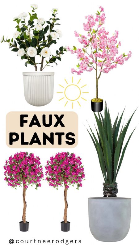 Faux Plants for your outdoor patio or porch! 🩷☀️

Outdoor plants, planter, summer, home, home decor, Amazon home, Walmart home 

#LTKHome #LTKFindsUnder100 #LTKStyleTip