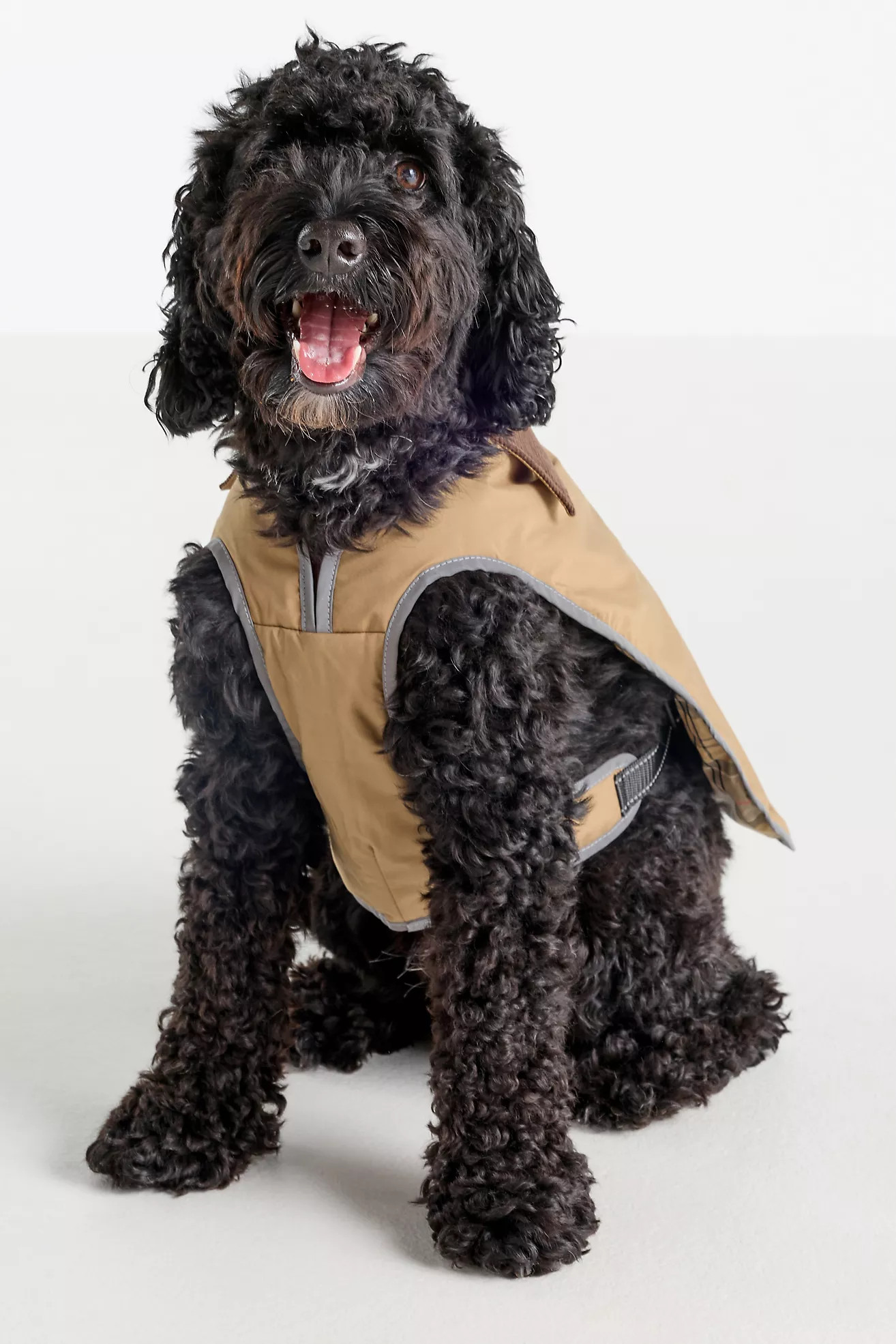 Barbour Monmouth Dog Coat | Anthropologie (US)
