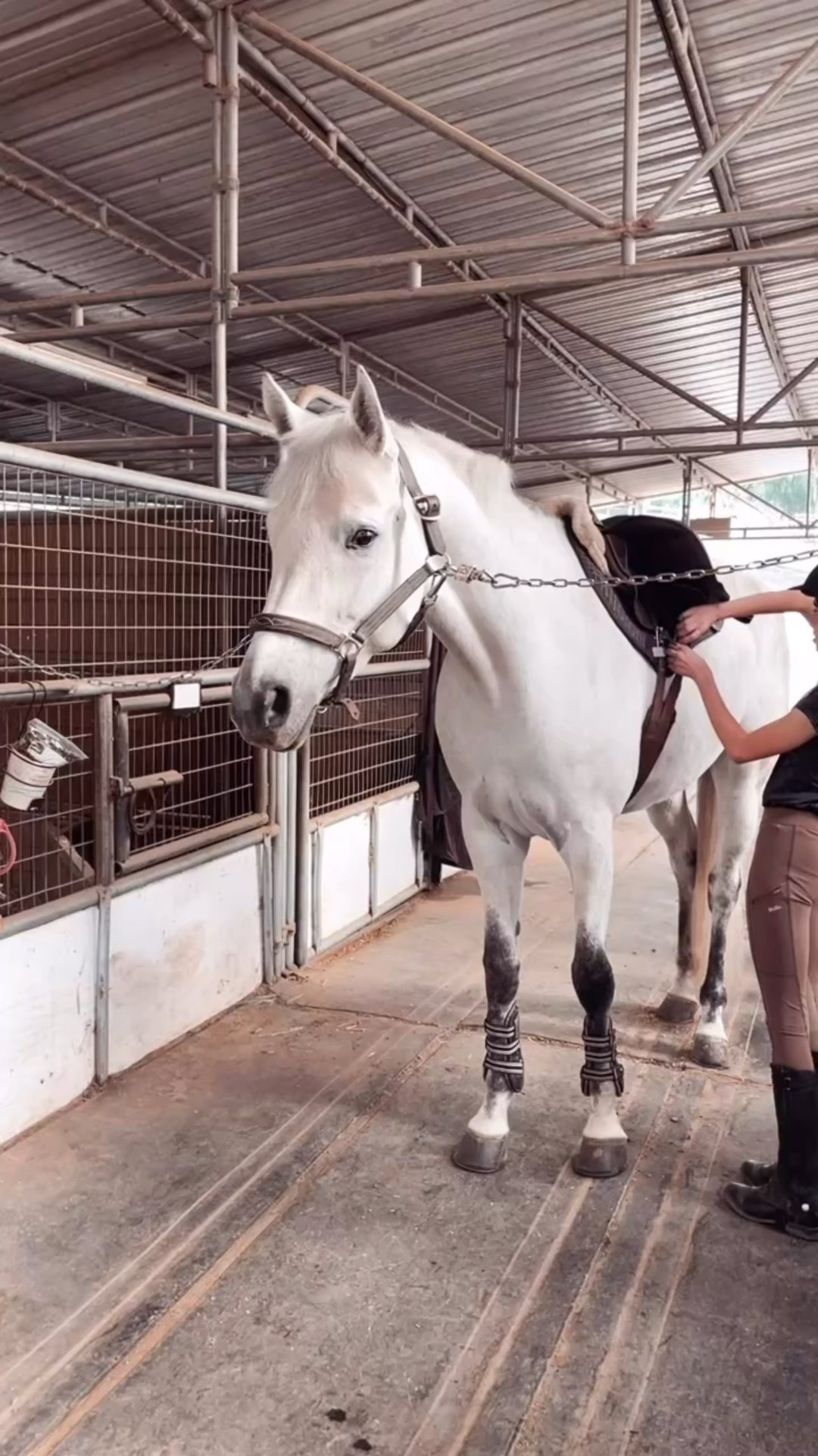 Barn days are the best! 👏🏻

#equestrian #riding #boots #saddle #horsebackriding #kids 

#LTKFindsUnder100 #LTKKids #LTKmomlife