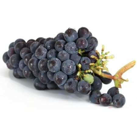 Seedless Black Grapes | Amazon (US)