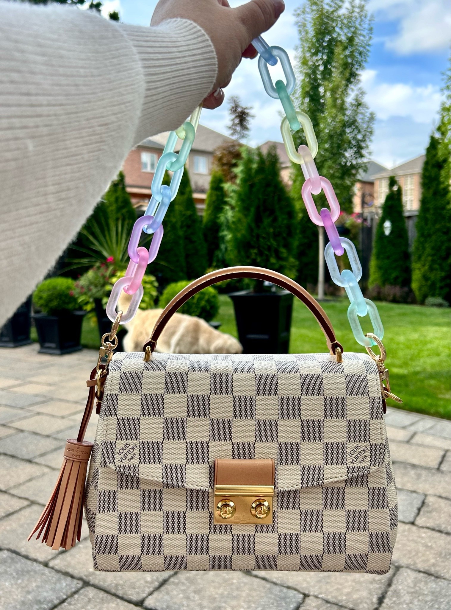 Fun and whimsical frosted rainbow acrylic chunky link chain for summer time vibes! 🌈

#LTKfestival #LTKbag #LTKstyletip