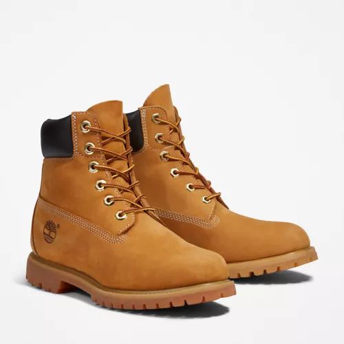 Women's 6-Inch Premium Waterproof Boots | Timberland US Store | Timberland (US)