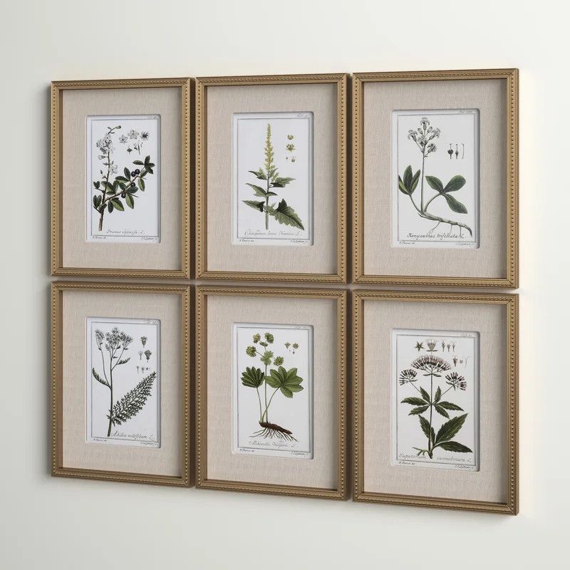 Green Floral Botanical Study by Grace Feyock - 6 Piece Picture Frame Graphic Art Set | Wayfair North America