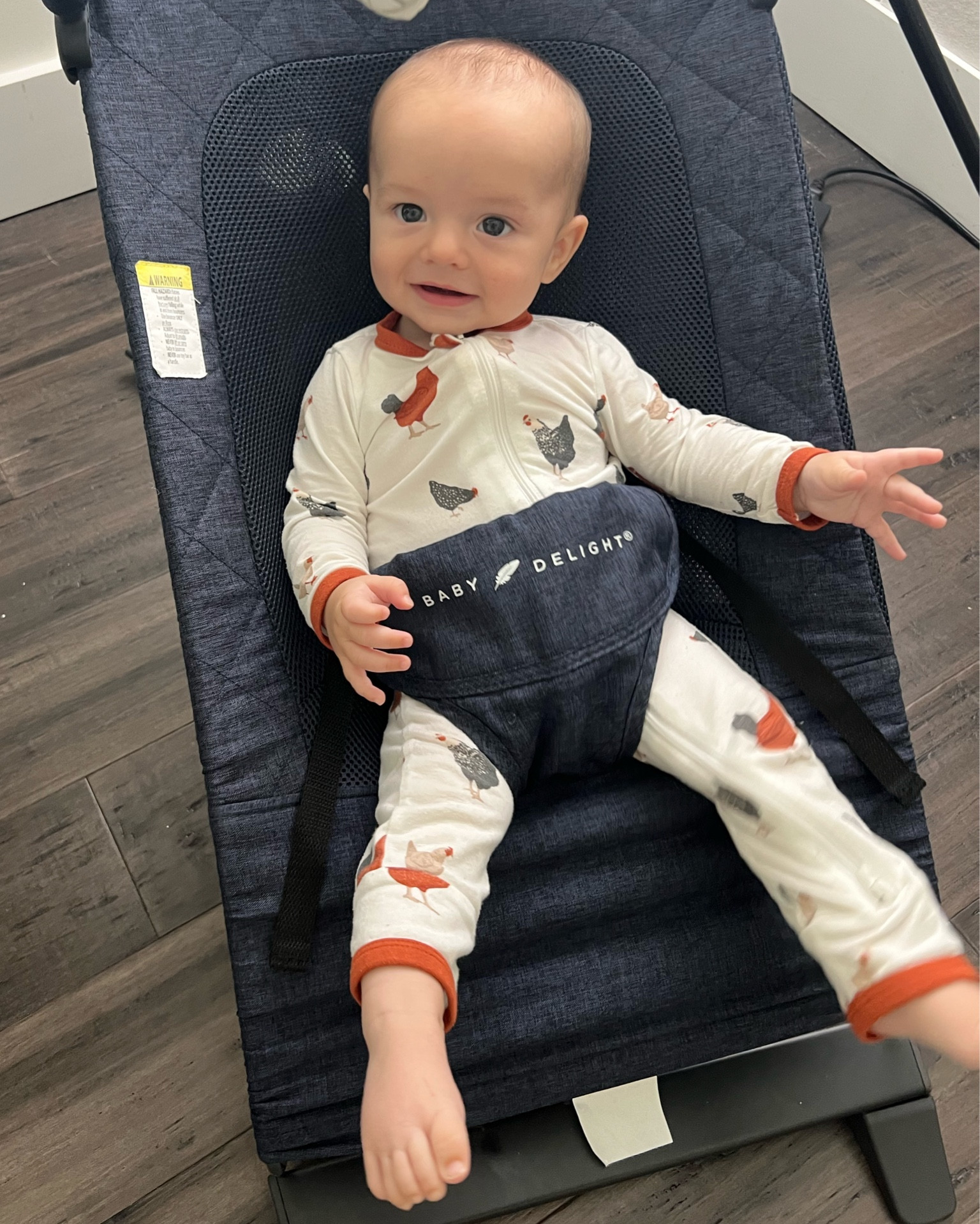 Still our favorite baby gear! Baby delight bouncer 🙌🏼 adjustable heights, removable activity bar, mesh back, folds flat

#LTKBaby #LTKBump #LTKHome