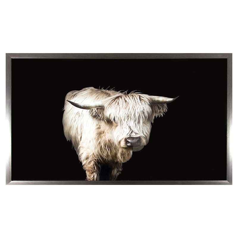 Black & White Highland Cow Canvas Wall Art, 36x24 | At Home
