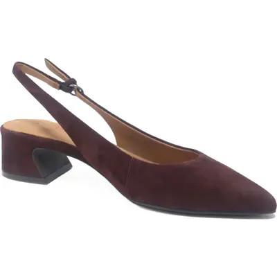 Gentle Souls Georgia Slingback Pointed Toe Pump in Leopard Haircalf at Nordstrom, Size 8.5 | Nordstrom