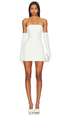 Isabel Strapless Mini Dress
                    
                    superdown | Revolve Clothing (Global)