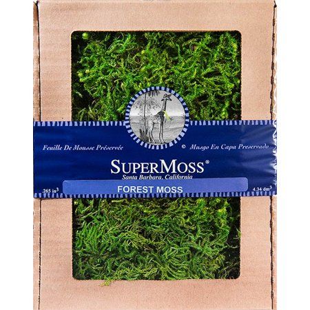 Super Moss Forest Moss Preserved Fresh Green Boxed 8 oz | Walmart (US)