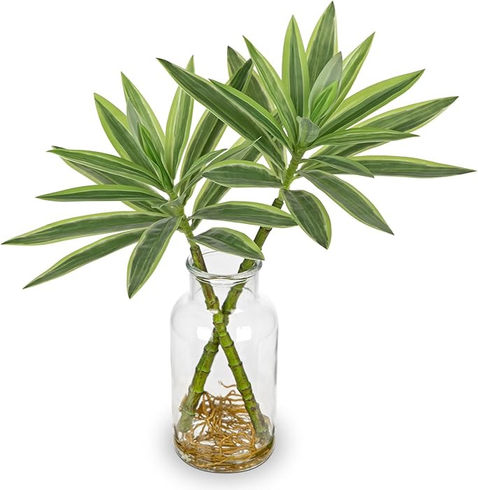 Artificial Plants Stems in Glass Vase with Faux Water,Fake Silk Plant Dracaena Leaves for Centerp... | Amazon (US)