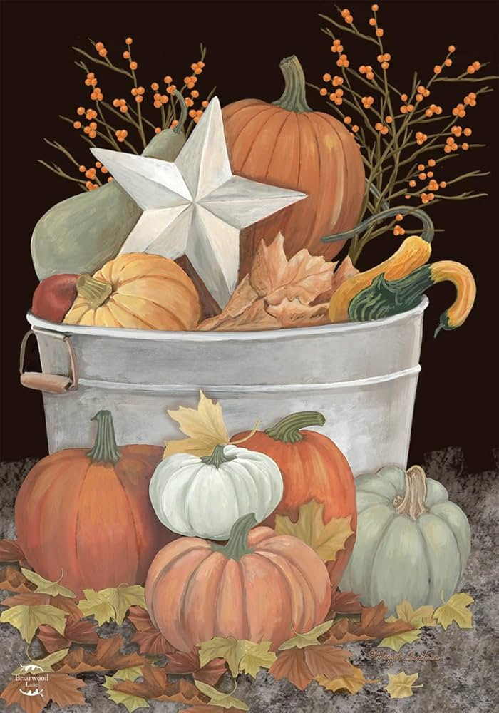 Briarwood Lane Fall Bushel Primitive Garden Flag | Amazon (US)