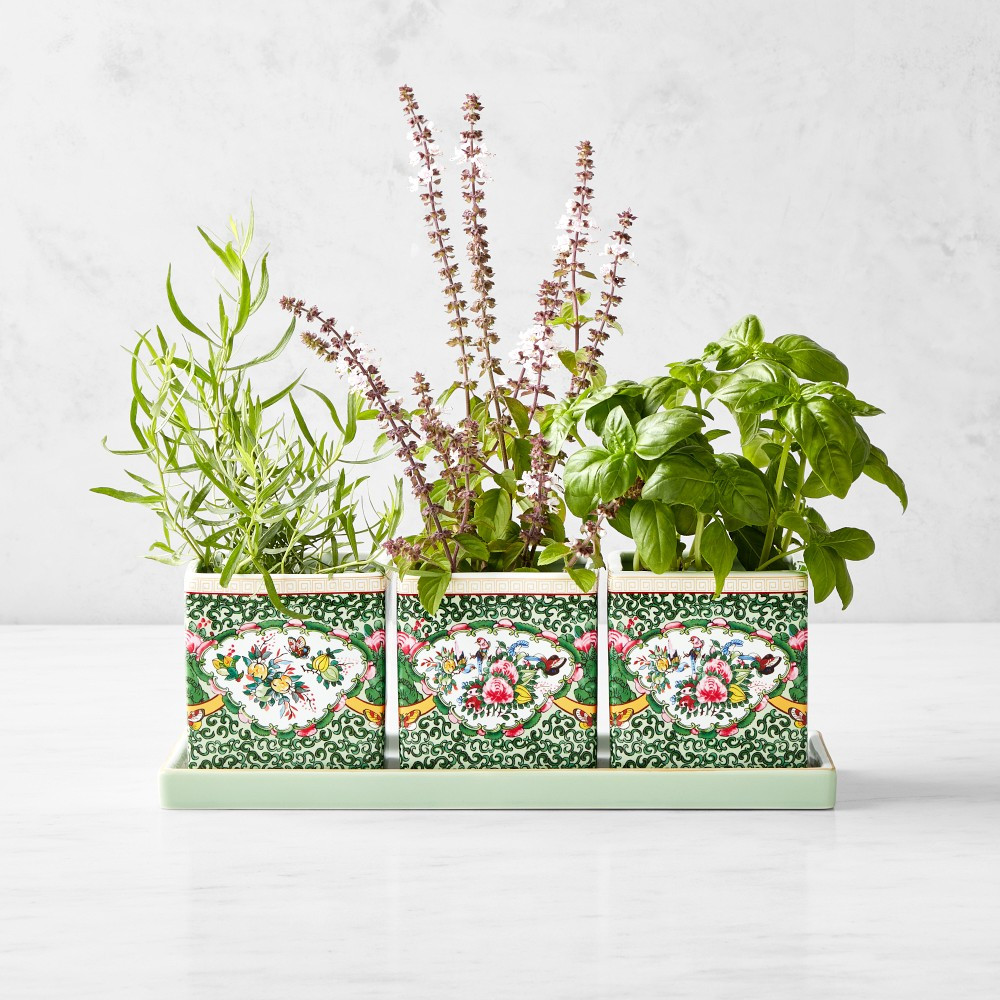 Famille Rose Herb Planter with Tray, Set of 3 | Williams-Sonoma