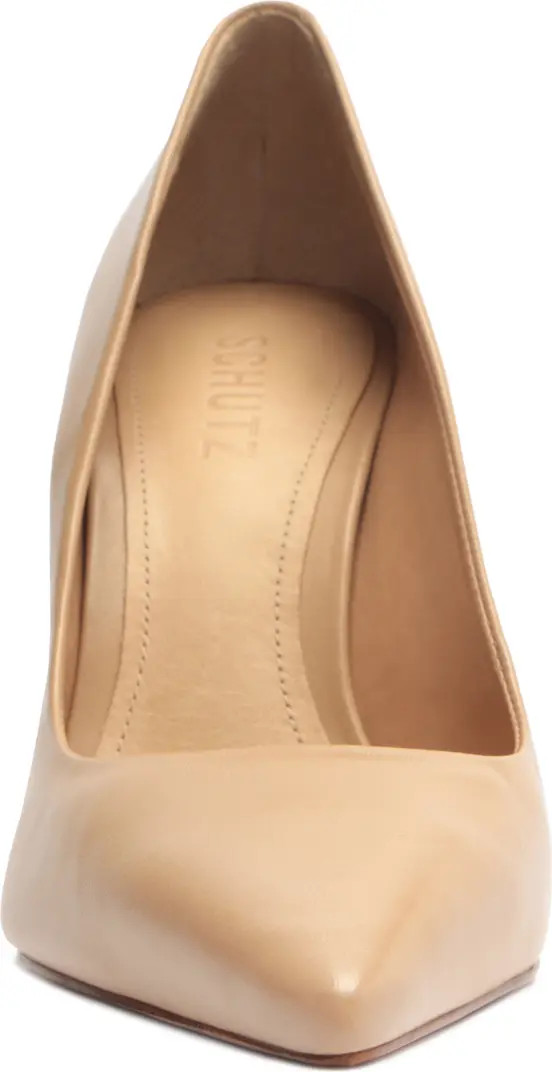 Lou Pointed Toe Pump (Women) | Nordstrom