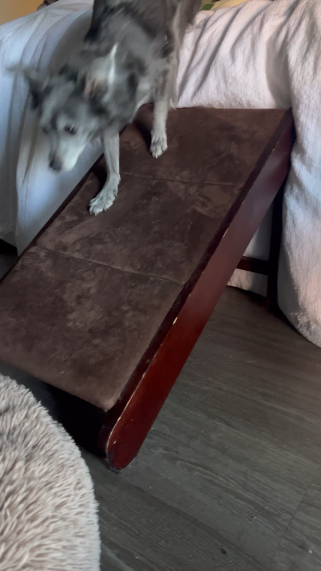 We love this dog ramp for our bed to keep their backs safe. #ltkpets #dogs #dogramp #dogfinds

#LTKHome #LTKmomlife