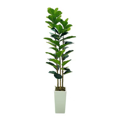 5.9 Ft Artificial Fiddle Leaf Fig Tree with Natural Wood Trunk & Faux Moss, Realistic Faux Plant in White Planter for Indoor Outdoor Decor | Target