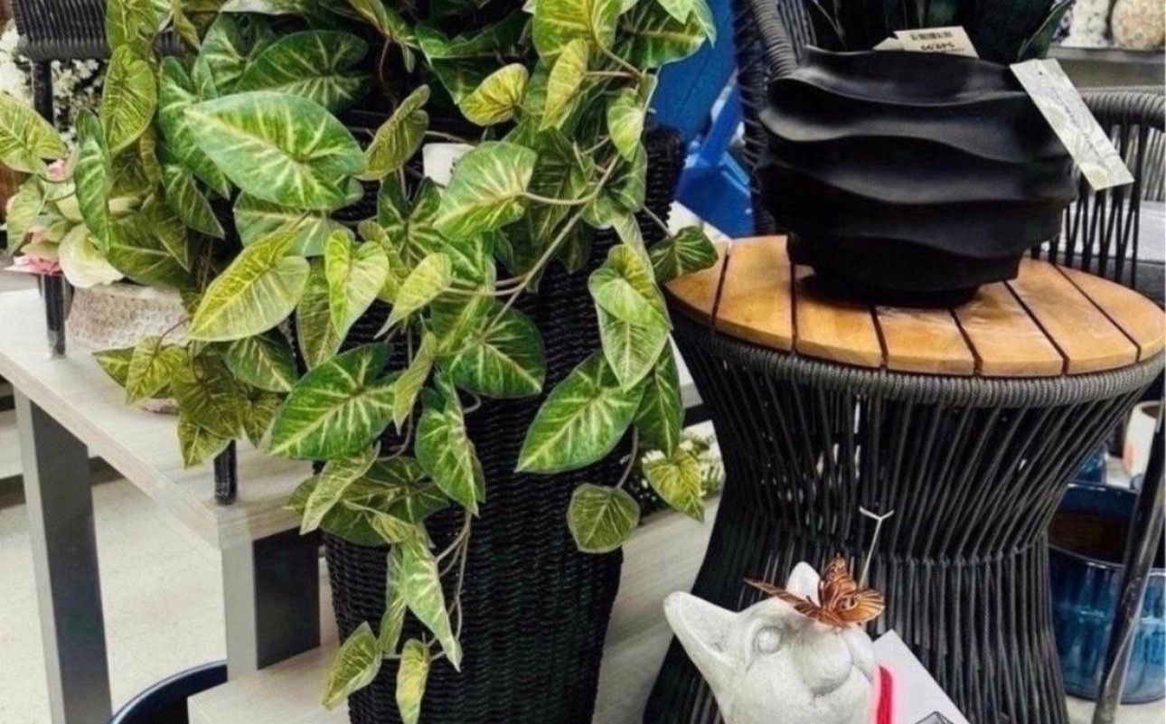 Adding greenery = instant home upgrade 🌿✨
TJ Maxx always has the BEST affordable decor pieces for that cozy aesthetic

#LTKHome