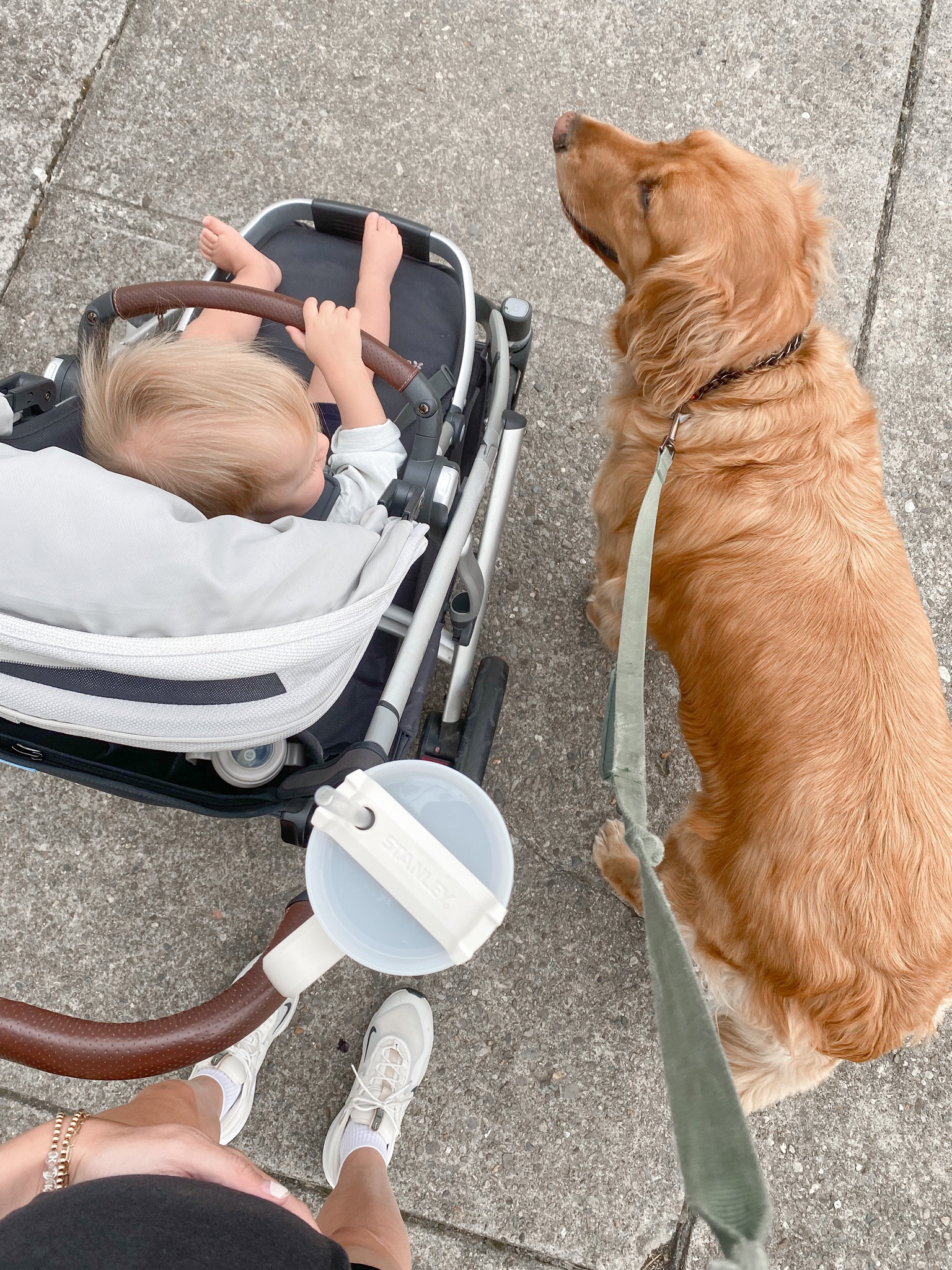 summer walk crew 🤟🏼 uppababy vista stroller, toddler and dog walking essentials, maternity bike shorts

#LTKbaby #LTKfamily #LTKbump