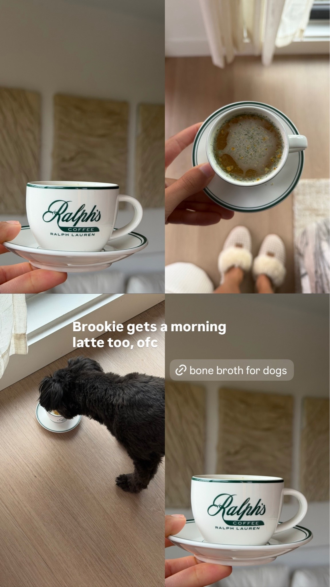 Dog approved morning latte!