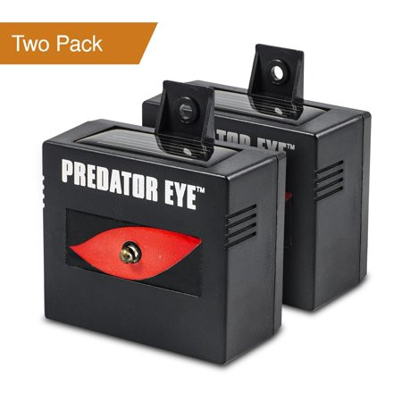Predator Eye Nighttime Outdoor Solar Animal Repeller - 2 Pack | Walmart (US)