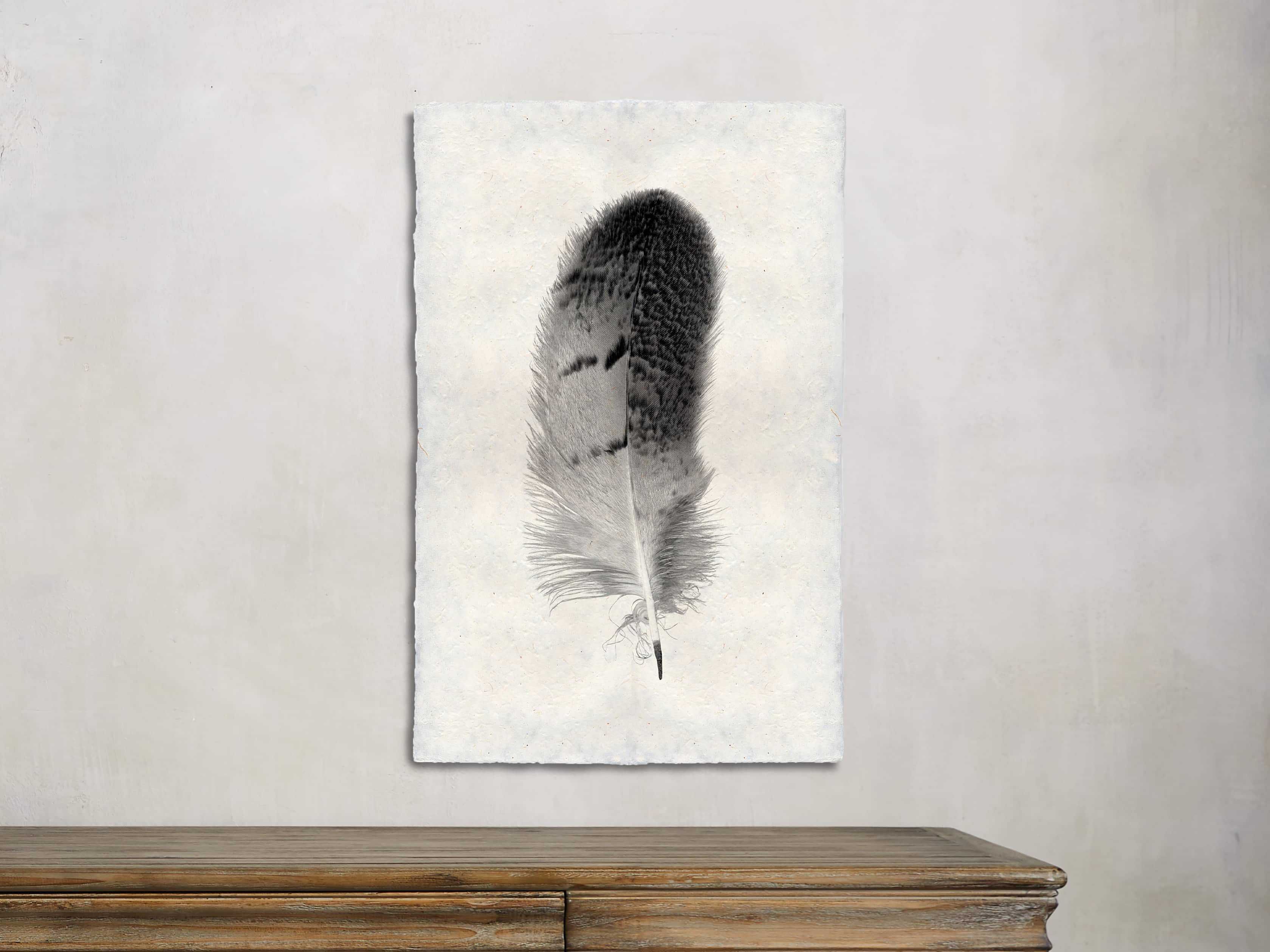 Feather Study Grand Print VII | Arhaus