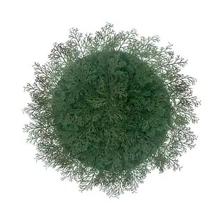 15" Green Fern Placemat by Celebrate It™ | Michaels | Michaels Stores