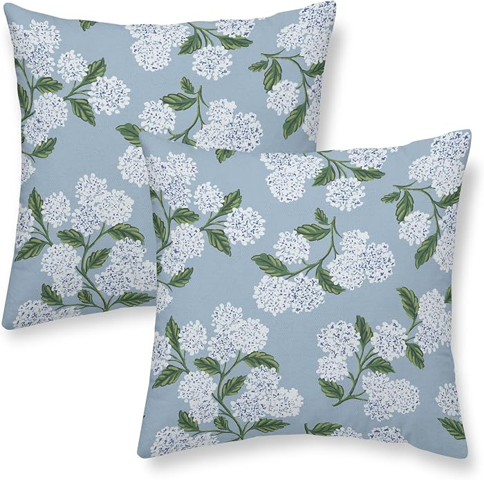 Baby Blue Throw Pillow Covers 20x20 Inch 2 Pcs Light Blue Green Hydrangea Floral Decor Pillow Cov... | Amazon (US)