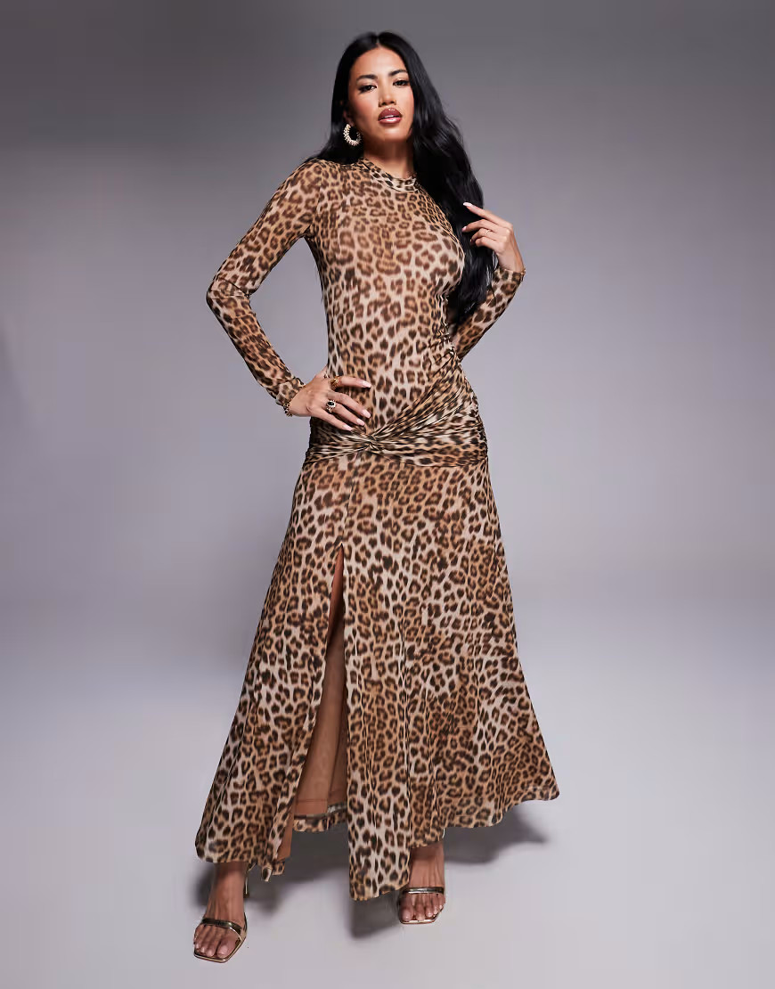 Bardot Lea printed mesh midi dress in leopard-Black | ASOS (Global)