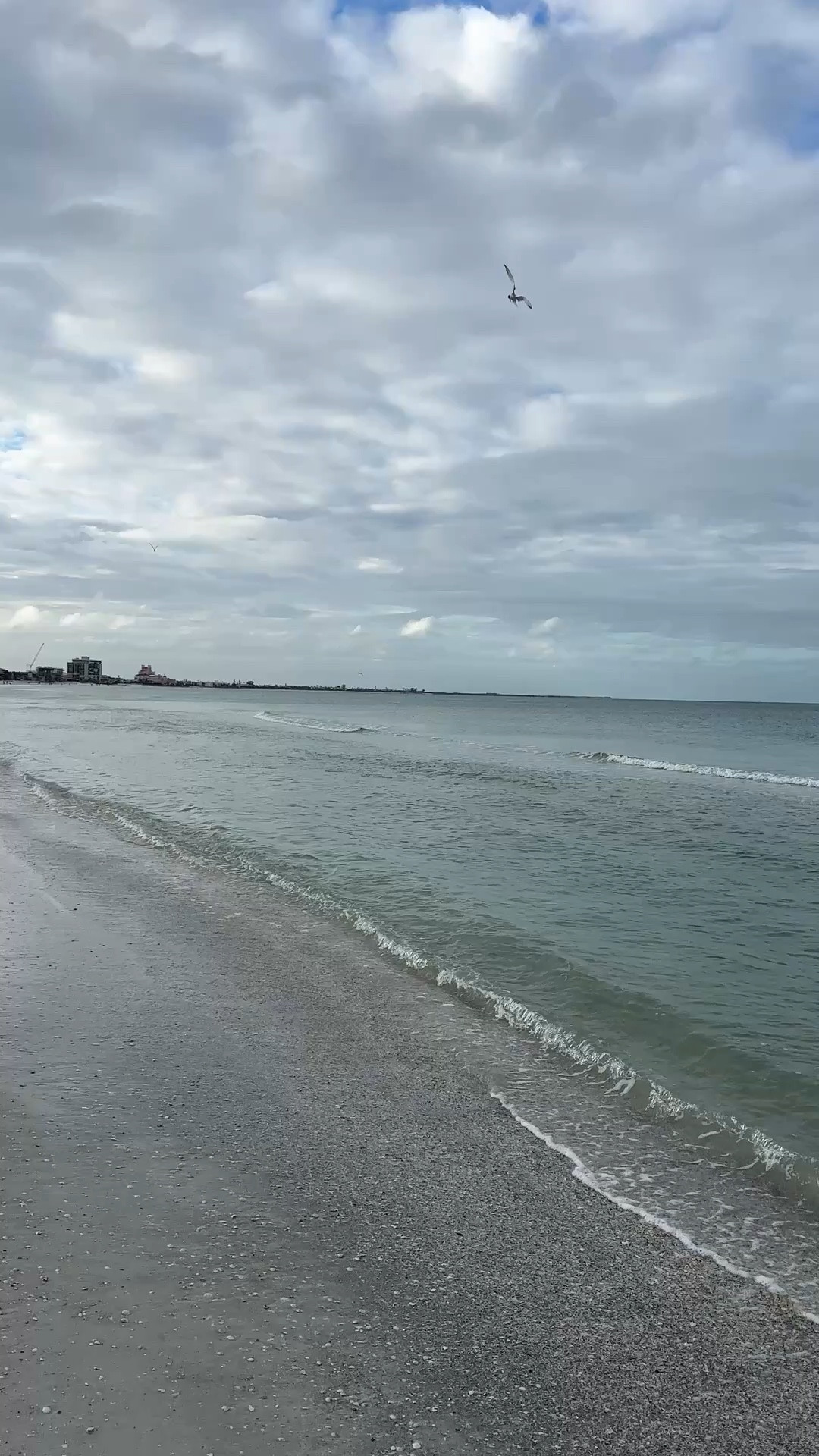 Morning Dive 🦅

#LTKTravel