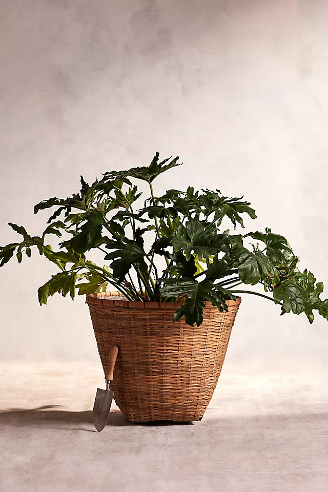 Bamboo Fiber Planter, 24" | Anthropologie (US)