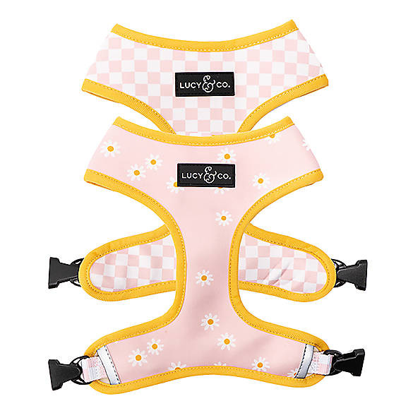 Lucy & Co. Ditsy Daisy Reversible Dog Harness | PetSmart