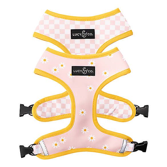 Lucy & Co. Ditsy Daisy Reversible Dog Harness | PetSmart