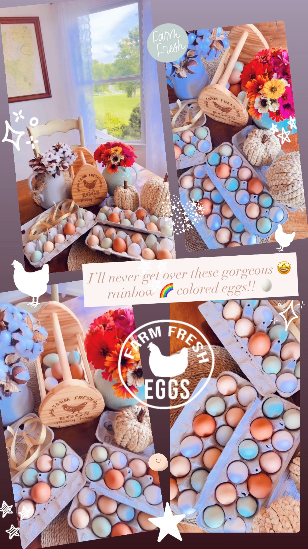 I’ll never get over these gorgeous 🤩 rainbow 🌈 colored eggs!! 🥚