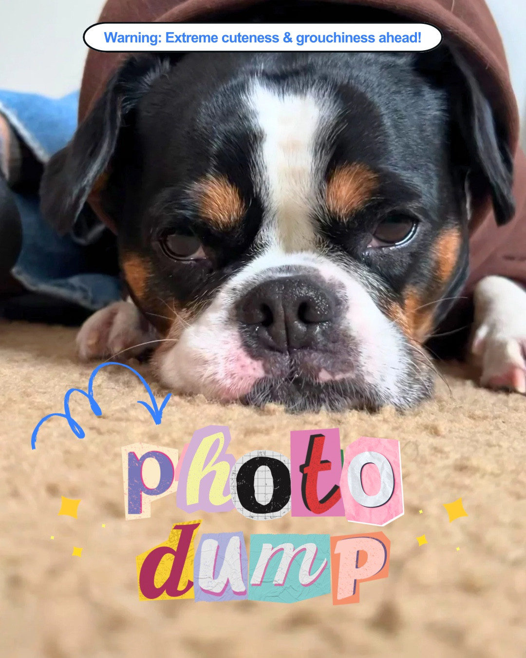 No dogs were harmed, only my patience 😐🐶

P.S. Mom checking in — he’s happy, loved, and dramatic. He’s just blessed with a resting grumpy face 😂

➡️ Follow for more funny dog videos, relatable dog mom content, vlogs, routines, and life with Rio🐾

#LTKdayinmylife #LTKmomlife #LTKstorytime
