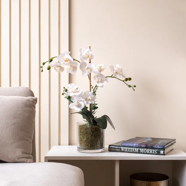 Artificial White Orchid with Eucalyptus in Glass Plant Pot | Dunelm