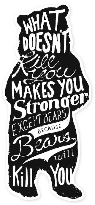 The Landmark Project   Bear Sticker | REI