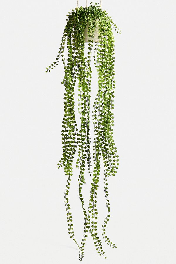Hanging String Of Pearls Faux Plant | Urban Outfitters (EU)