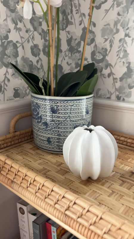This bud vase from Kathy Kuo home is such a fun and affordable home accessory! Love the coastal design — so perfect for summer! 

#LTKFindsUnder50 #LTKSeasonal #LTKVideo
