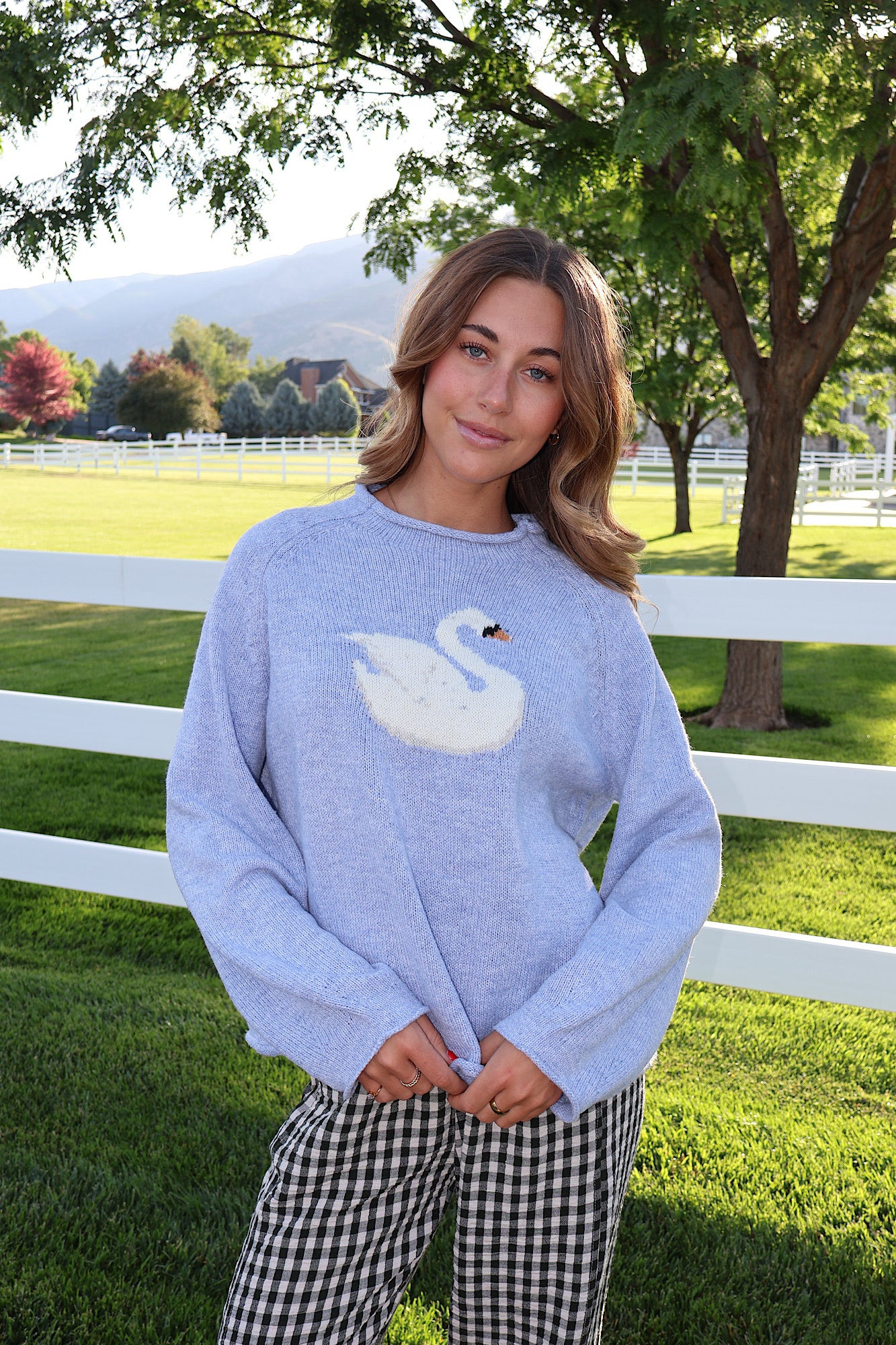 Swan Knit Sweater | Henly