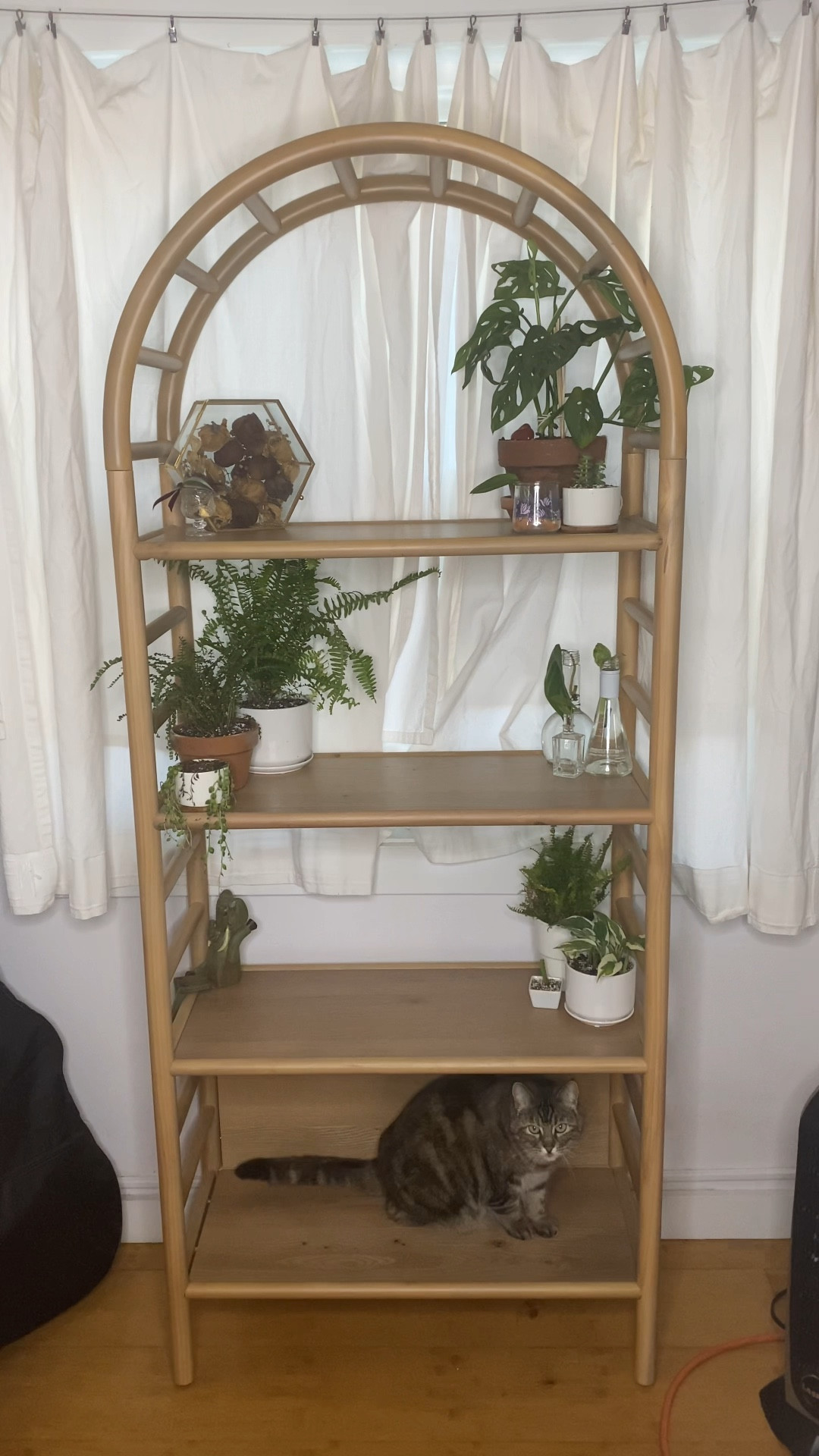 the cutest bookcase ever 🫶🏼

#LTKFind #LTKU #LTKhome