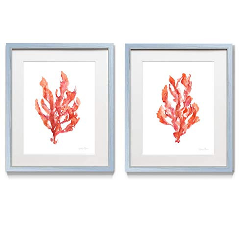 Renditions Gallery Coral Kelp 2 Framed Artwork Set, Shades of Red, Underwater, Ocean, Watercolor ... | Amazon (US)