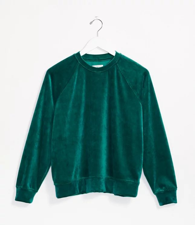 Lou & Grey Velvet Sweatshirt | LOFT