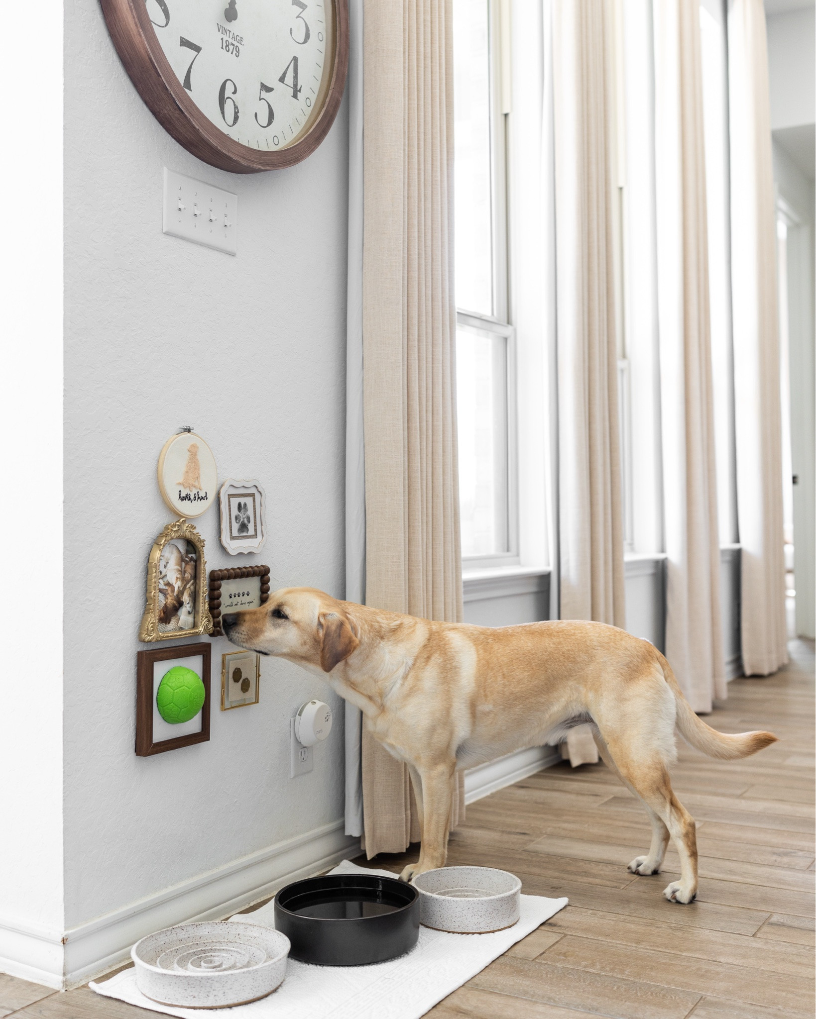 The dogs’ dining area deserved a moment 🤭

Finally styled a cute gallery wall above the dogs’ food bowls with some meaningful pieces mixed in, including one of Annie’s favorite balls, Oakley’s pawprint, and Fanta’s & Domino’s old guide dog tags. I’m just a little bit obsessed 🖤

#LTKHome