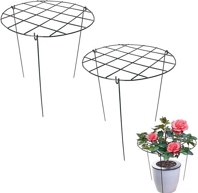 2 Pack Round Peony Cages and Supports Grow Through Grid Plant Brace,18 inch Heigh Plant Support S... | Amazon (US)