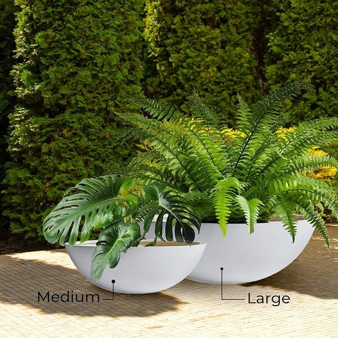 Rondo Large Indoor Plant Pots, Fiberstone Large Plant Pot, Planter for Indoor/Outdoor, Modern Pla... | Amazon (US)
